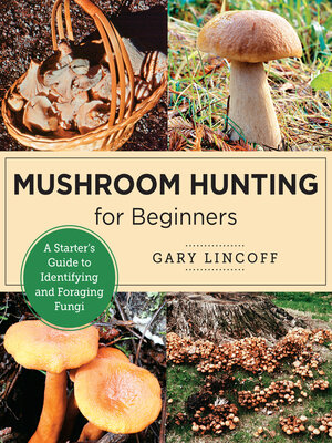 cover image of Mushroom Hunting for Beginners